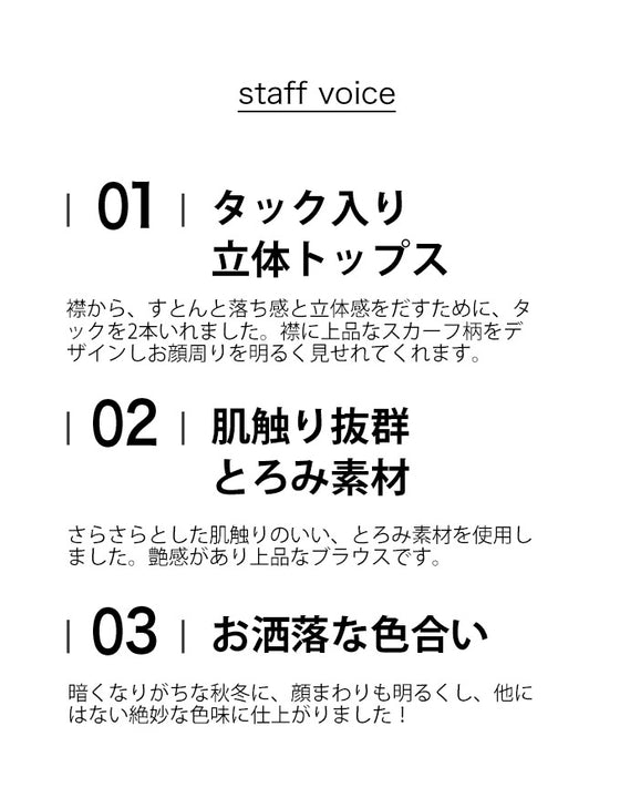 首から流れるタックのポイントアートブラウストップス